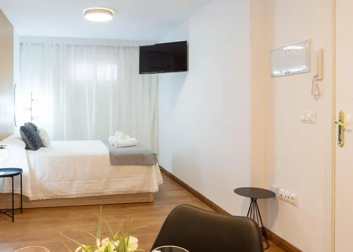 Pizarro Malaga 托雷莫利诺斯